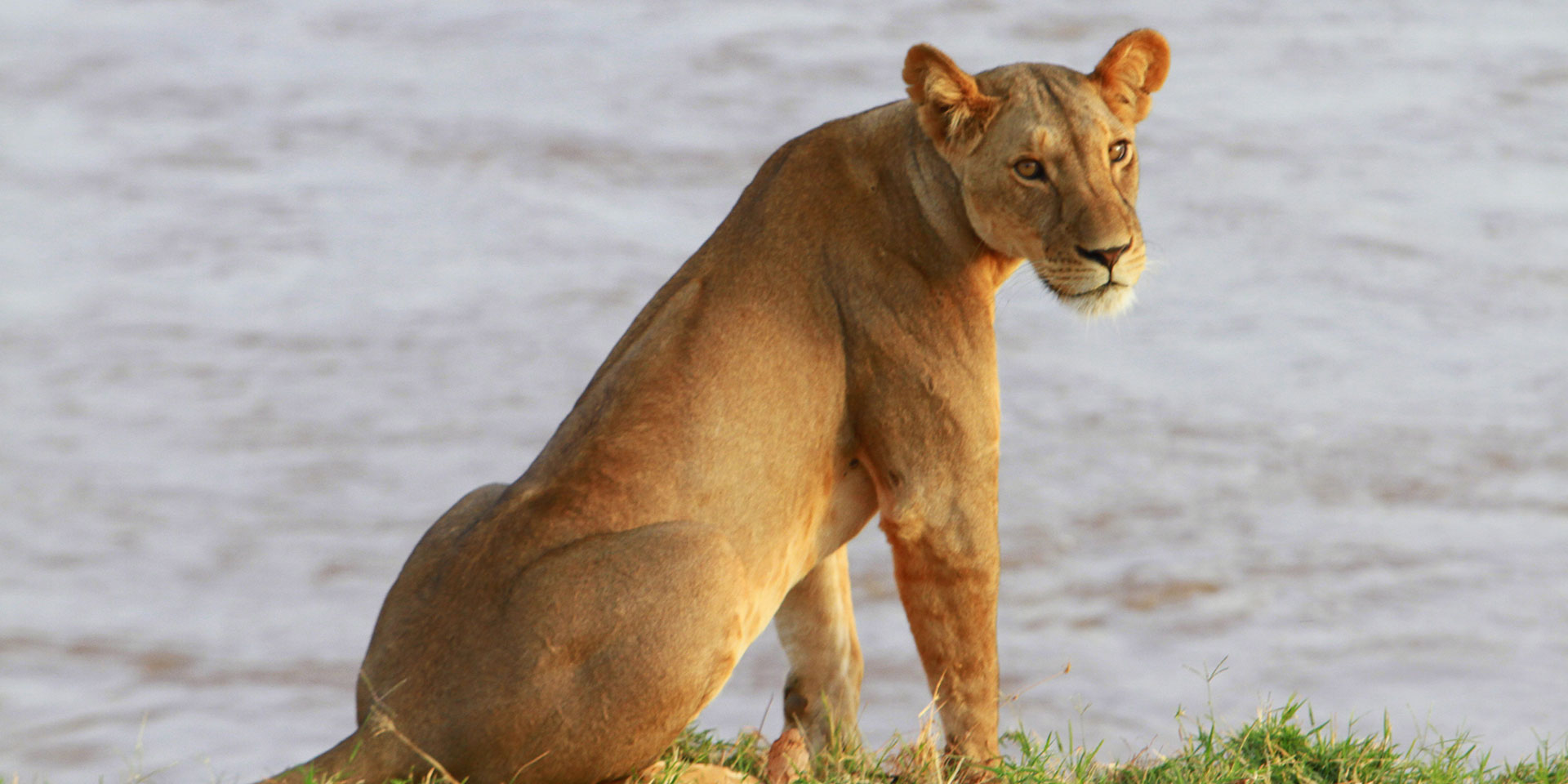 Samburu National Reserve