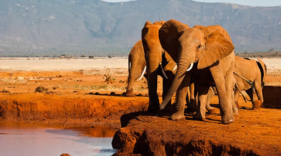 Tsavo East National Park